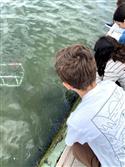 ROV_B-12